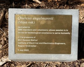 A picture containing text, plaque, outdoor, oldDescription automatically generated